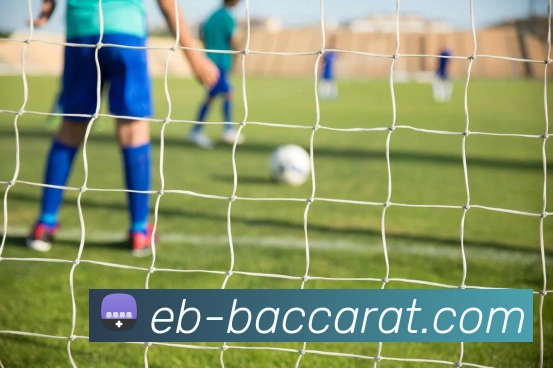 百家乐官网平台生态图